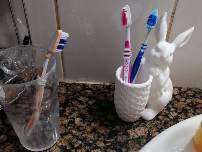 Bunny flower / toothbrush pot