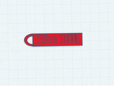 The bill keyring