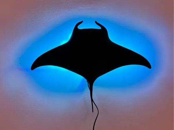 https://makerworld.bblmw.com/makerworld/model/USf23bf2359907ff/design/2024-11-24_63e6fa3a7e596.jpg