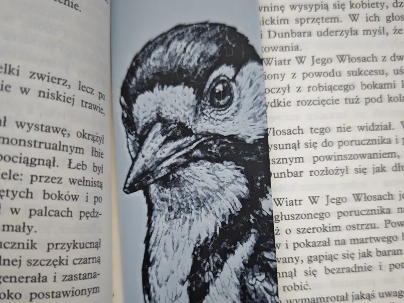 Dzięcioł