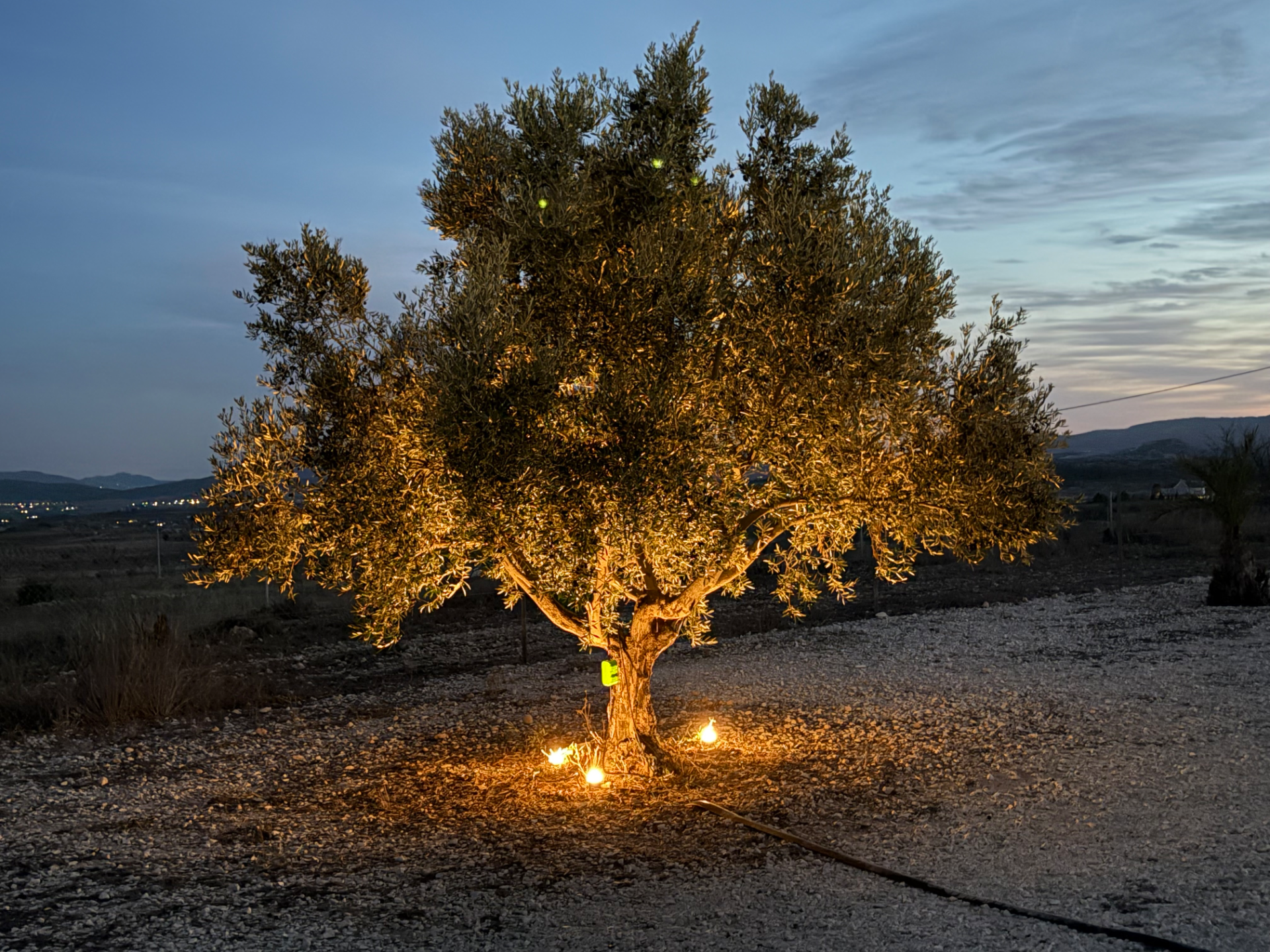 Modern 3D Printed Garden Light – GU10 Compatible