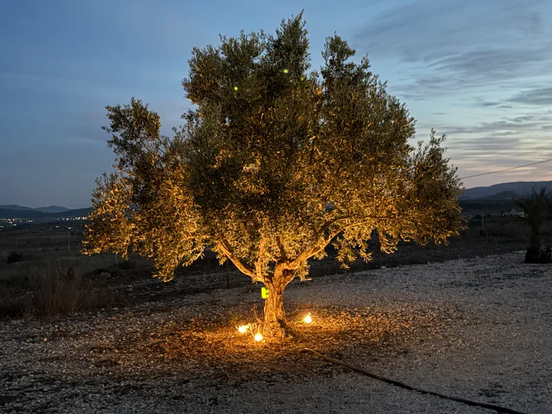 Modern 3D Printed Garden Light – GU10 Compatible