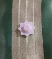 Thunder Gym Badge