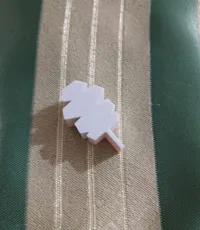 Earth Gym Badge