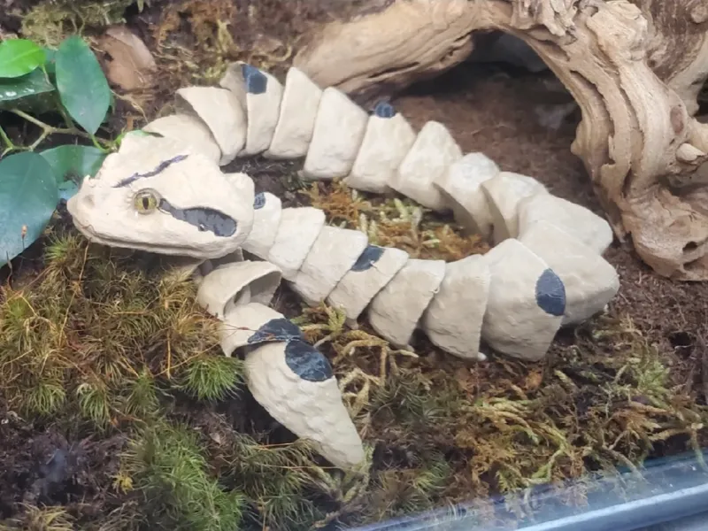 Gaboon Viper A1 Mini