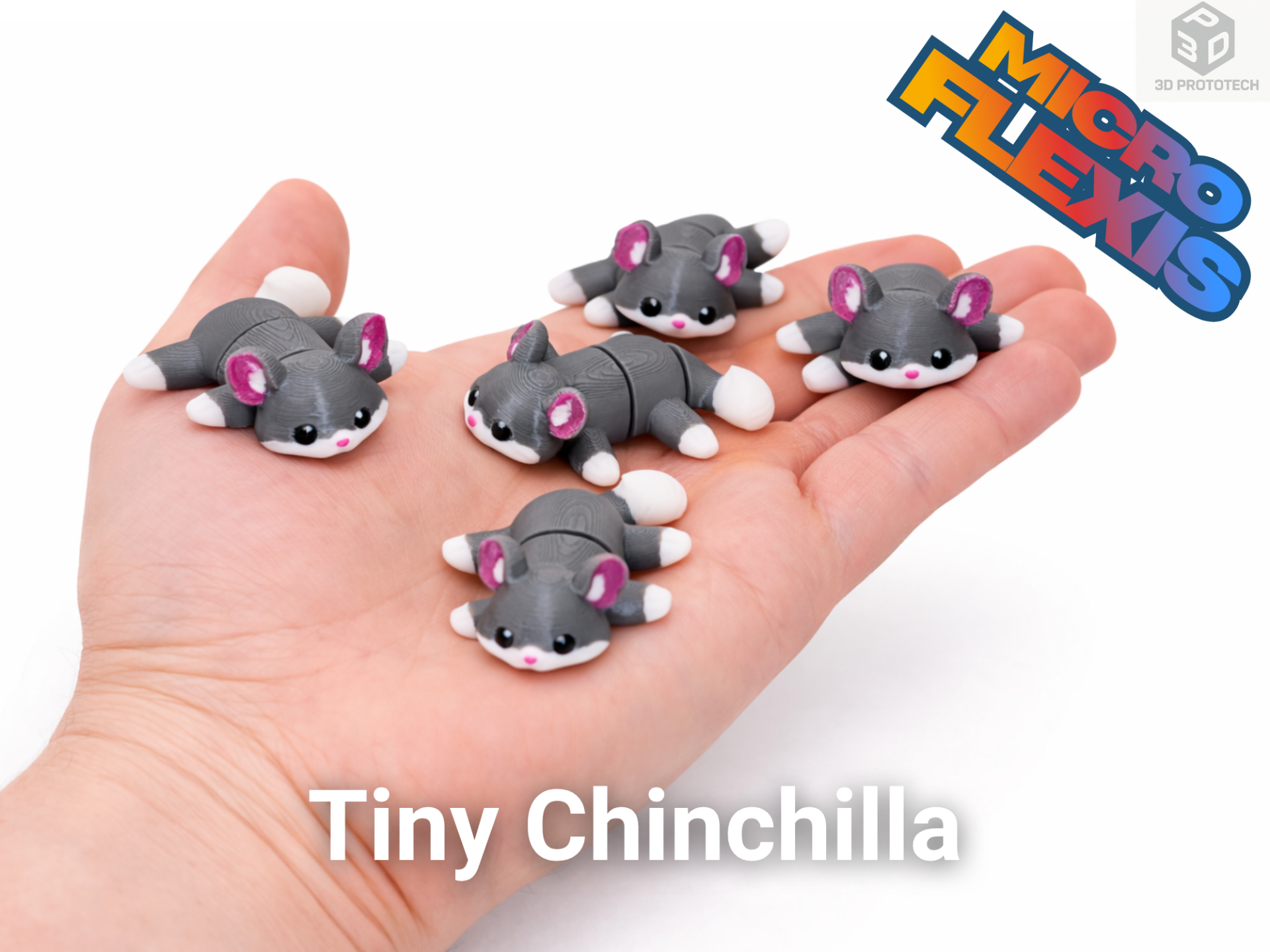 Tiny Chinchilla