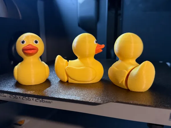 https://makerworld.bblmw.com/makerworld/model/USf255e56918d798/design/2025-03-29_6c60a69a2449e.jpeg