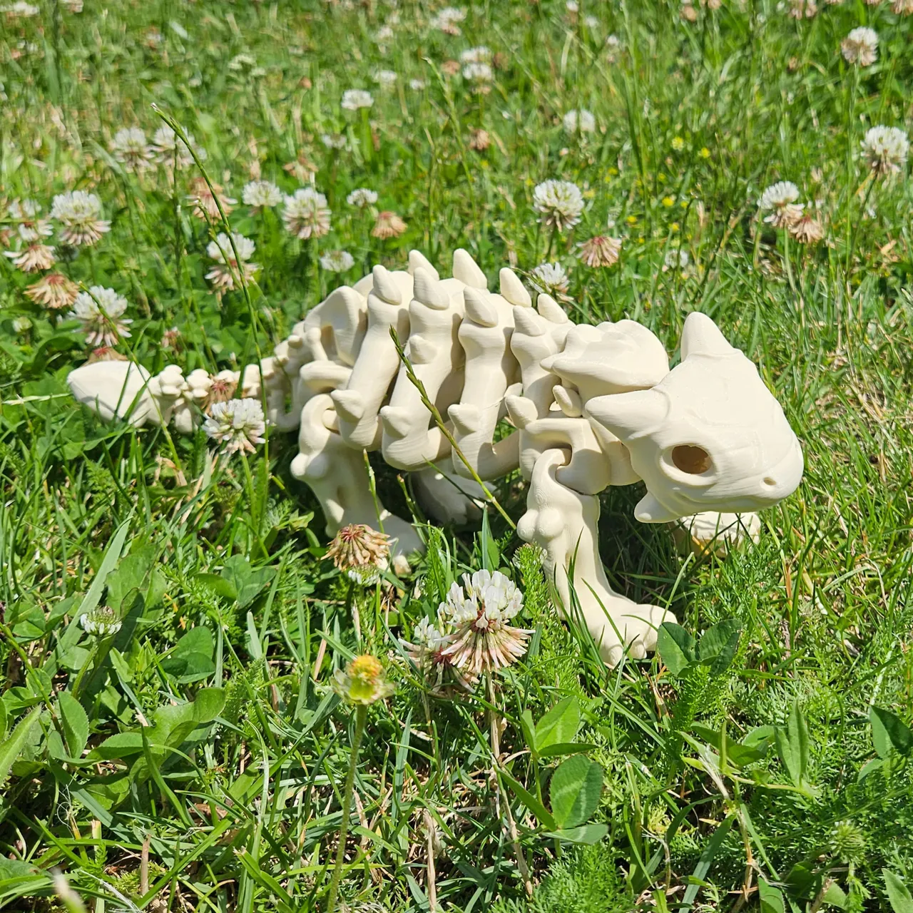 Flexi Dino Skelett Ankylosaurus Skeleton Dinosaur view 4