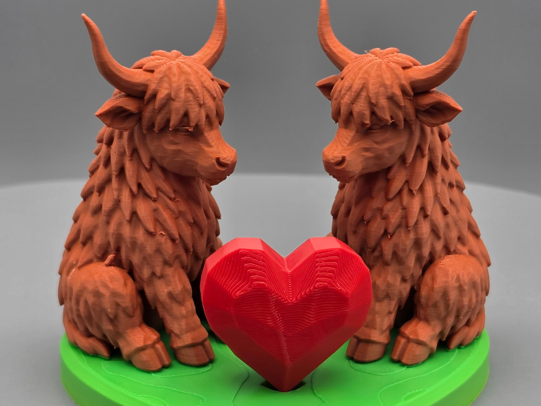Highland Cow Love