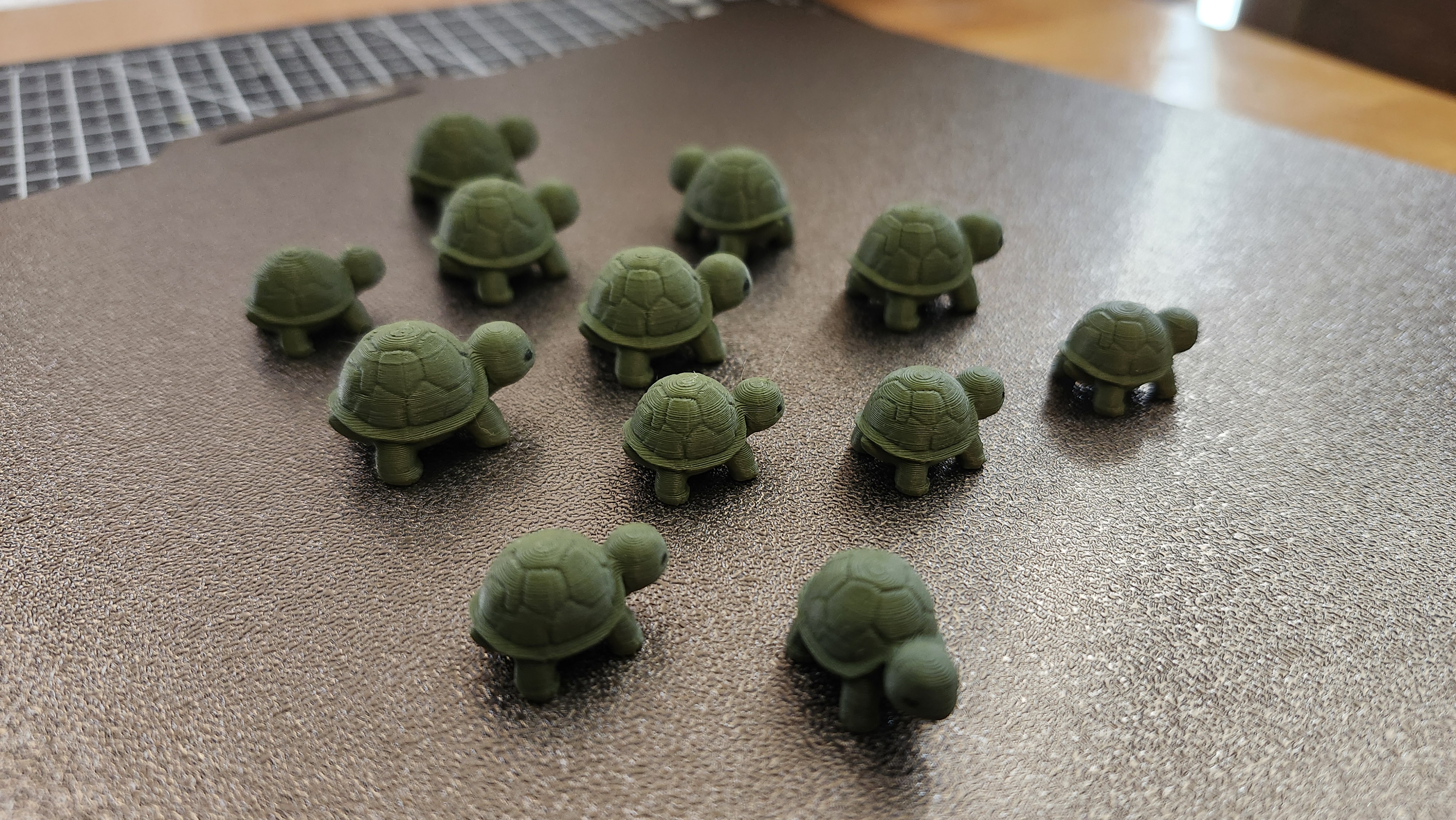Miniatura 3 do modelo 3D Mini Turtle