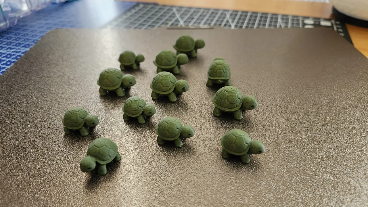 Mini Turtle view 2
