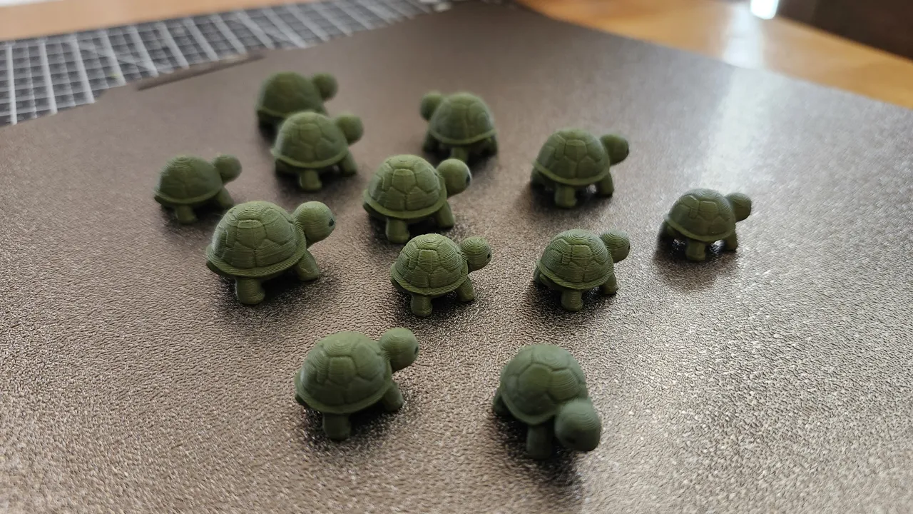 Mini Turtle view 3