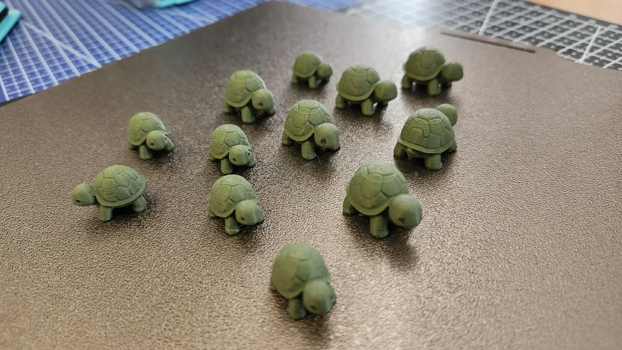 Mini Turtle view 4