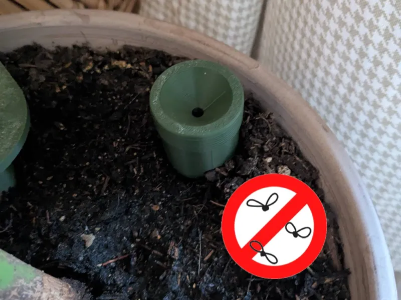 Fungus Gnat Trap for Plants