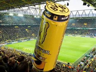 DosenAbdeckung CanCap Deckel Anhänger BVB09