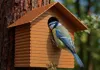 60% scale - 25mm entrance - ideal for Blue Tits birds