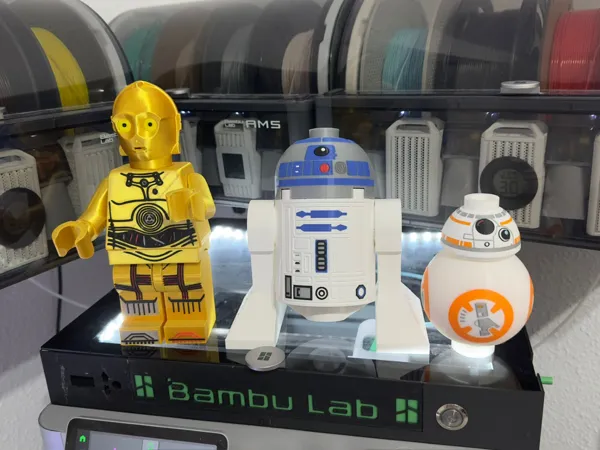 https://makerworld.bblmw.com/makerworld/model/USf268fcfc3ab8b6/design/2025-01-26_247ee78ed32b28.jpg