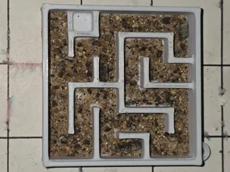Ant Maze Insectarium