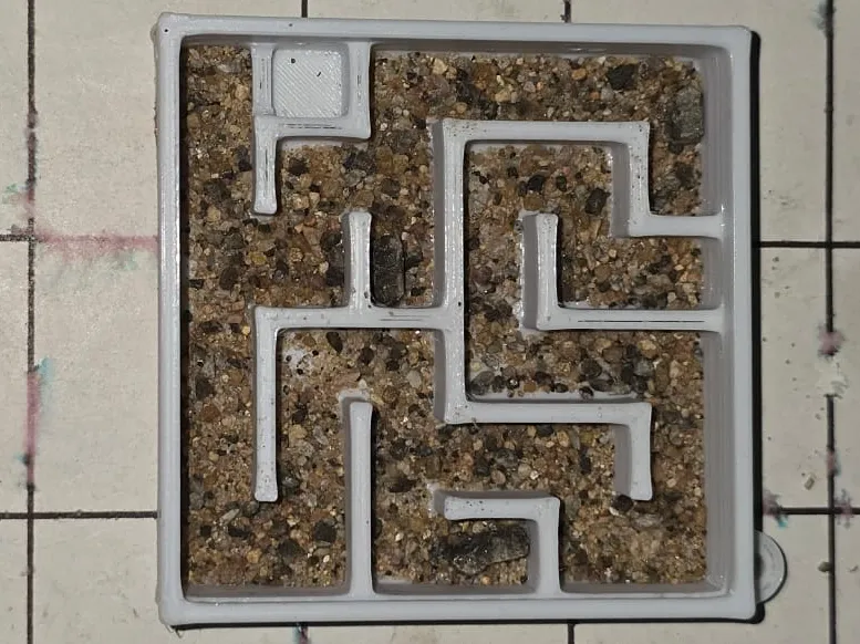 Ant Maze Insectarium