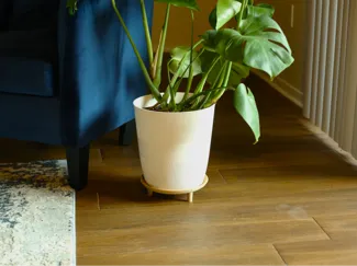 Accent Plant Stand