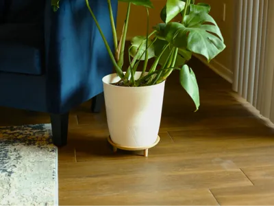 Accent Plant Stand