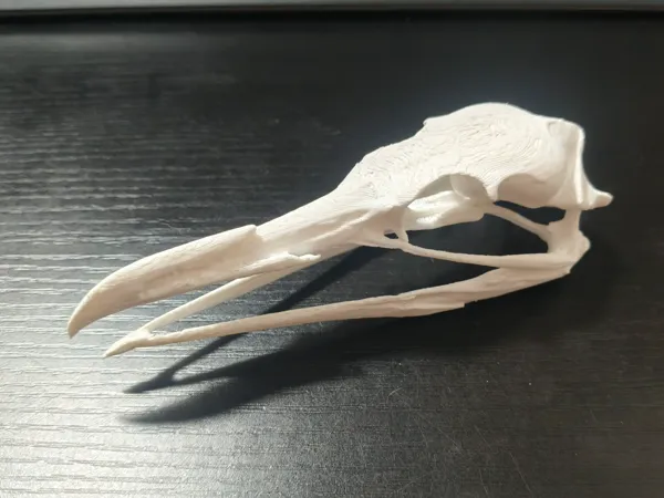 https://makerworld.bblmw.com/makerworld/model/USf271f6c6240d74/design/2025-06-23_5ada4debf3285.jpg