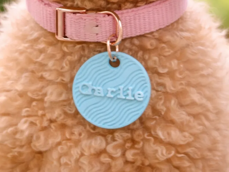 Personalized Round Dog Tag