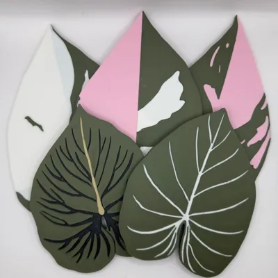 Philodendron Coaster Set