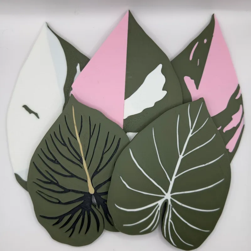 Philodendron Coaster Set
