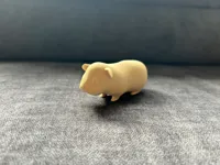 Cochon d'Inde mignon — photo 2