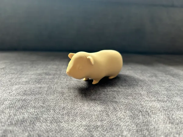 Cochon d'Inde mignon