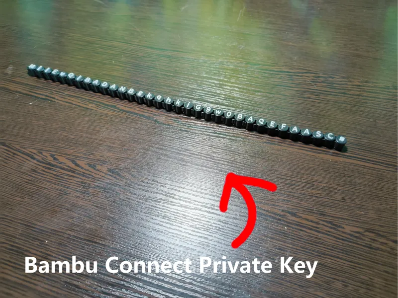 Bambu Connect Private Key Articulated Necklace