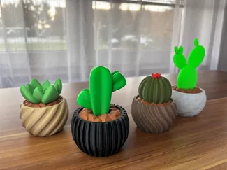 Miniature Cactus with Decorative Planter
