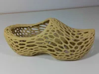 Voronoi model