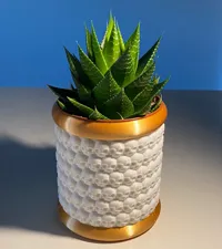 0.2mm layer, 2 walls, 10% infill