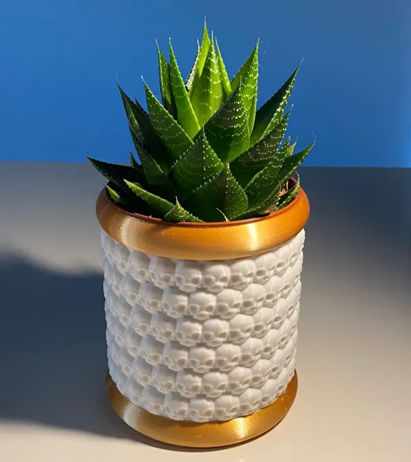 https://makerworld.bblmw.com/makerworld/model/USf29475884079d7/design/2024-10-18_dd6edac8d4b79.jpg