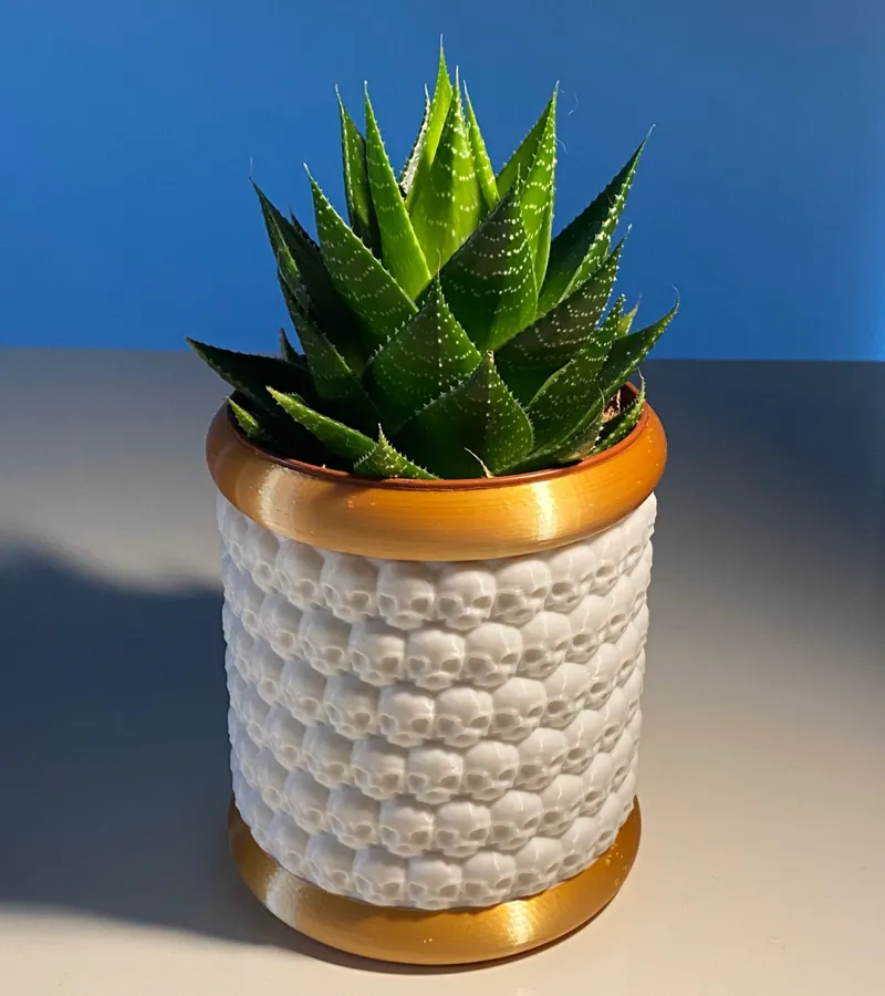 Skull Planter/Pot