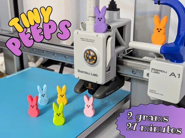 https://makerworld.bblmw.com/makerworld/model/USf295bbe221ebe0/design/2025-02-19_2592fd1f5e894.png
