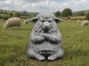 Grumpy Sheep