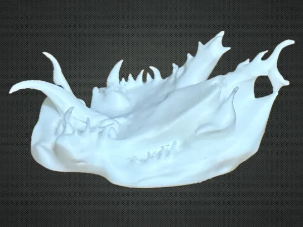https://makerworld.bblmw.com/makerworld/model/USf29b2f48f0d832/design/2025-05-05_88ad800e4f9f78.jpg