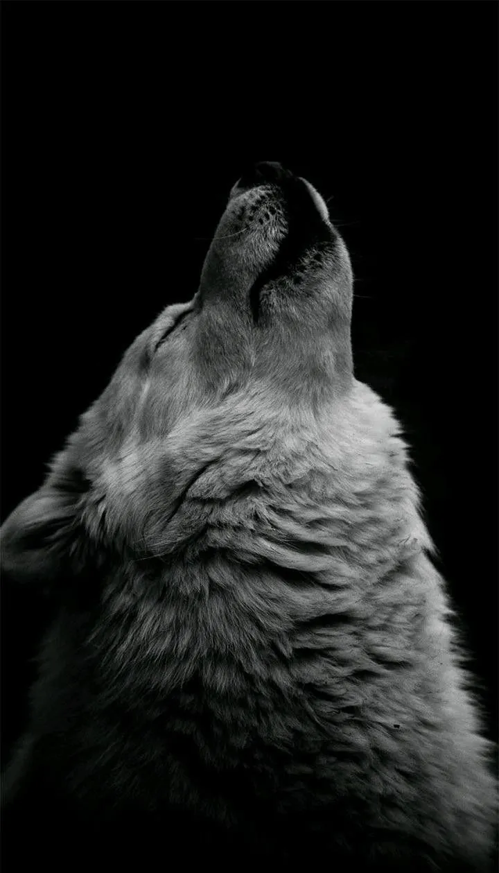 Hueforge - howling Wolf 
