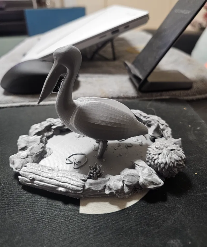 Pelican in the pond