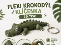 0.16mm layer, 2 walls, 5% infill