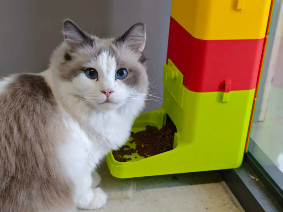 猫粮盆壁挂模块组合，可堆叠扩容