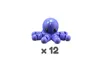 Peter (12 units)