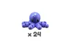 Peter (24 units)
