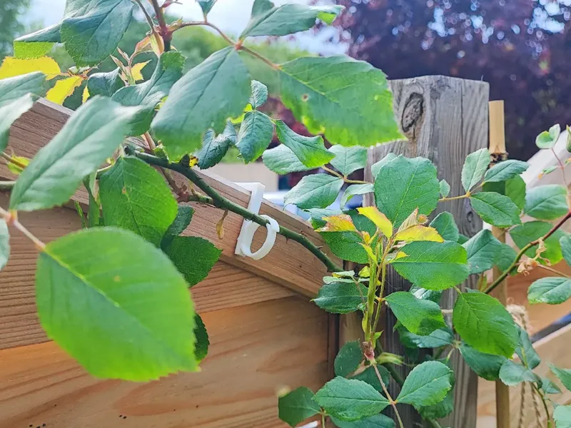 Fence Plant Clip v2