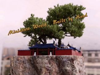 Tiny Chinese Garden Bonsai