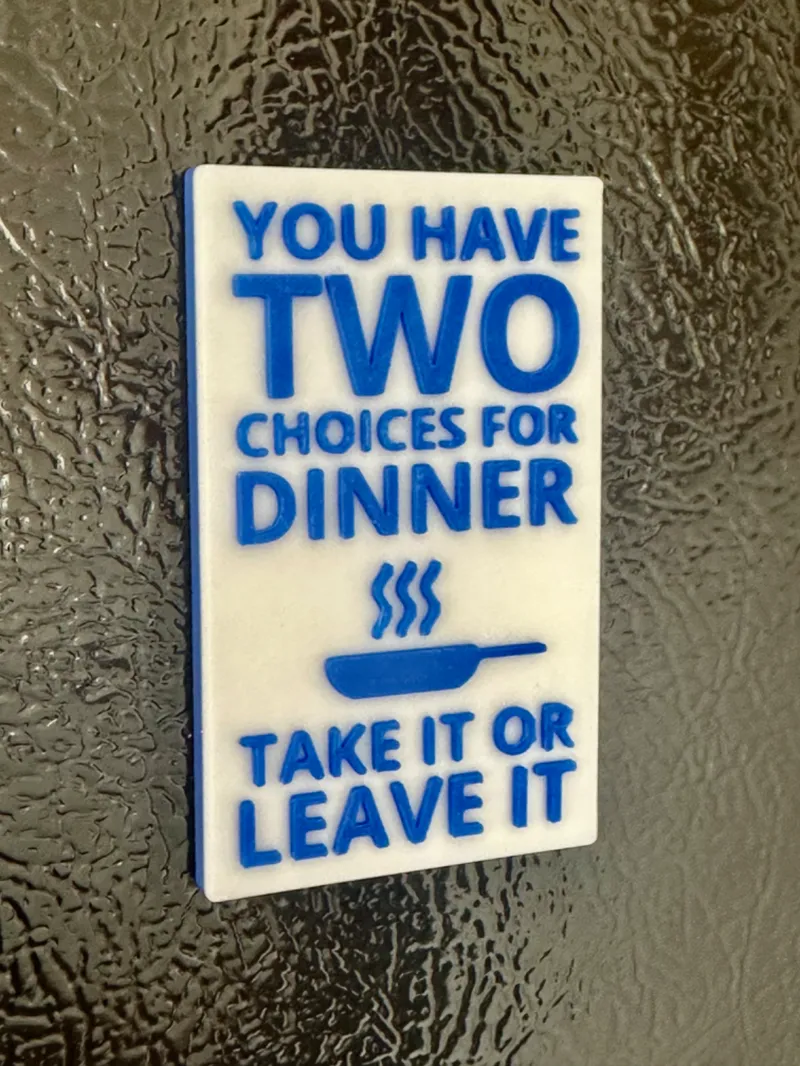 Two Choices Fridge Magnet