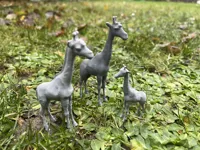 Famille de girafes — photo 2